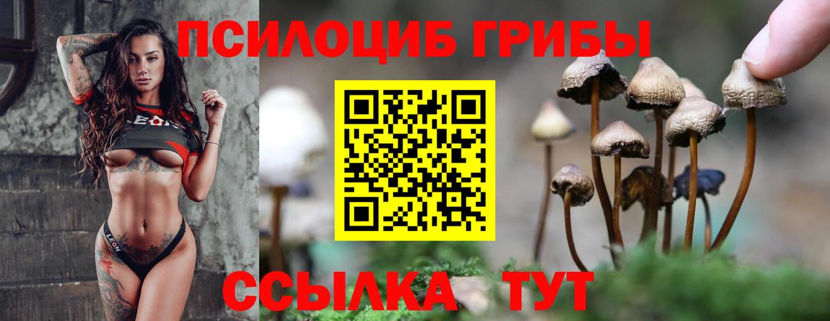 Псилоцибиновые грибы Psilocybine cubensis  Вход с VPN  Великий Устюг 